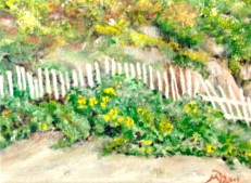 Sea Fence at the Cottages