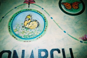 Detail, Center Monarch Butterfly