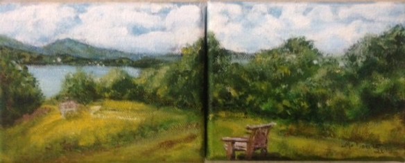 Meadow on the Hudson 2015